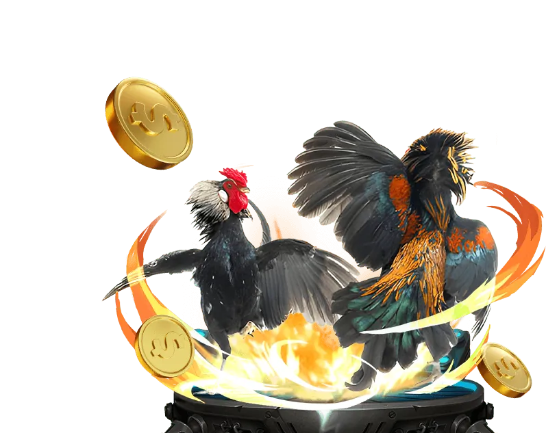 Trò chơi đá gà trực tuyến