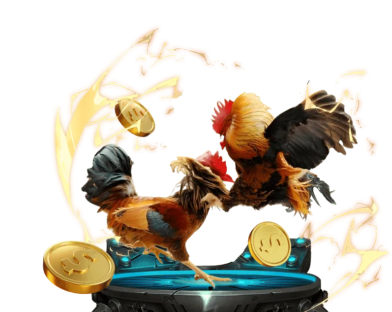 Chương trình VIP Đá Gà Casino